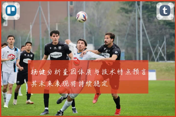 杨健分析奎因体质与技术特点预言其未来表现将持续稳定