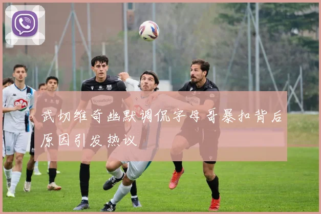 武切维奇幽默调侃字母哥暴扣背后原因引发热议